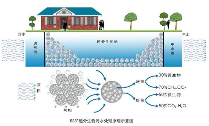 廢水生物處理的基本原理-樂中環保