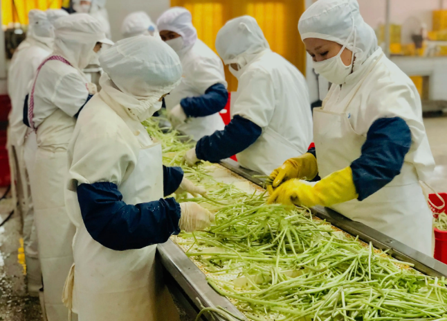 三種食品污水處理設備工藝流程，看看哪種適合您？
