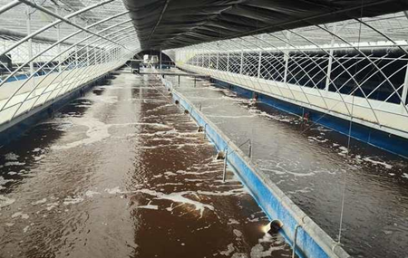 畜禽污水處理的方法、步驟（主流畜禽污水處理工藝有哪些）